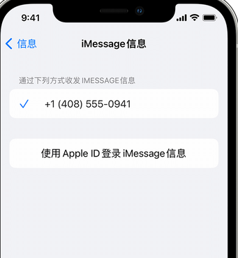 松山apple维修iPhone上无法正常发送iMessage信息 