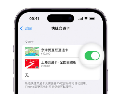 松山apple维修点分享iPhone上更换Apple Pay快捷交通卡手绘卡面 