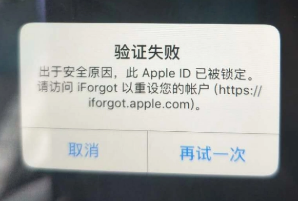 松山iPhone维修分享iPhone上正常登录或使用AppleID怎么办 