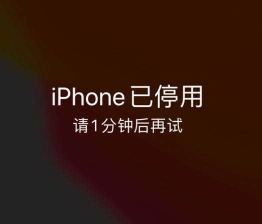 松山苹果手机维修分享:iPhone 显示“不可用”或“已停用”怎么办？还能保留数据吗？ 