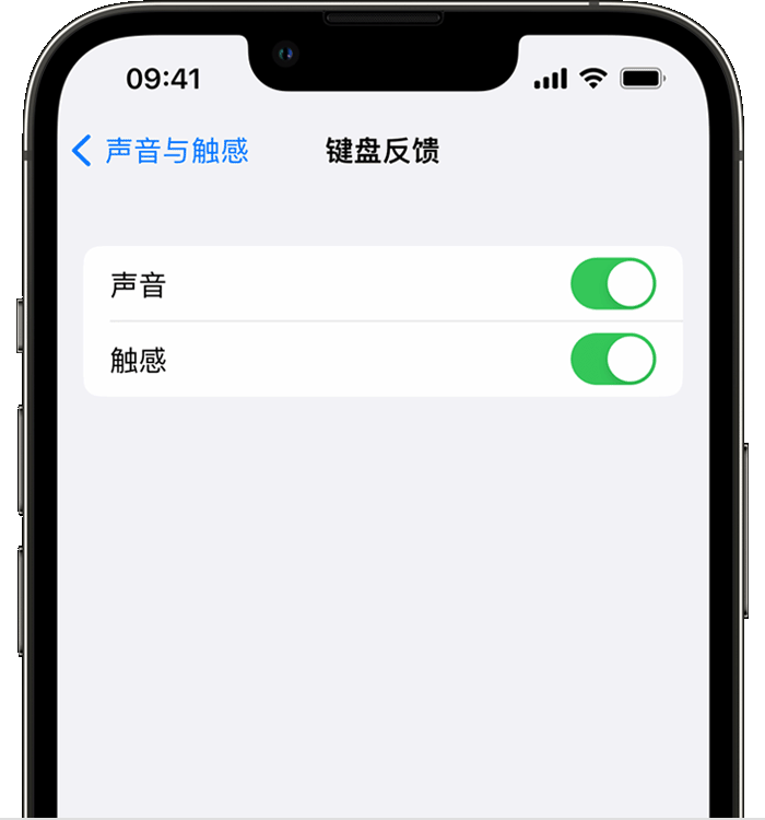 松山苹果14维修店分享如何在 iPhone 14 机型中使用触感键盘 