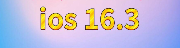 松山苹果服务网点分享苹果iOS16.3升级反馈汇总 