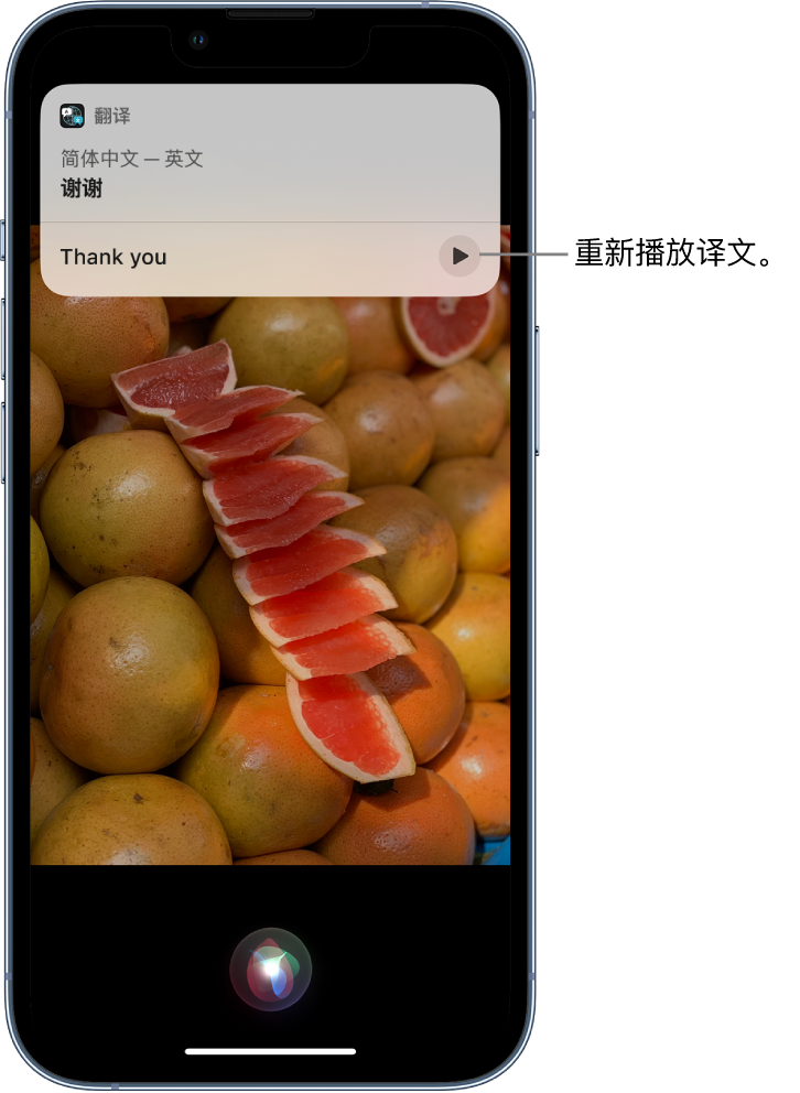 松山苹果14维修分享 iPhone 14 机型中使用 Siri：了解 Siri 能帮你做什么 