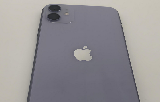 松山苹果11系统维修分享iPhone11手机系统崩溃无法开机如何解决
